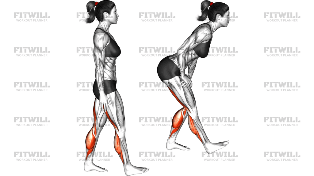Standing Hamstring Calf Stretch