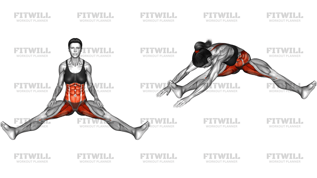 Single Split Stretch (Beginner)