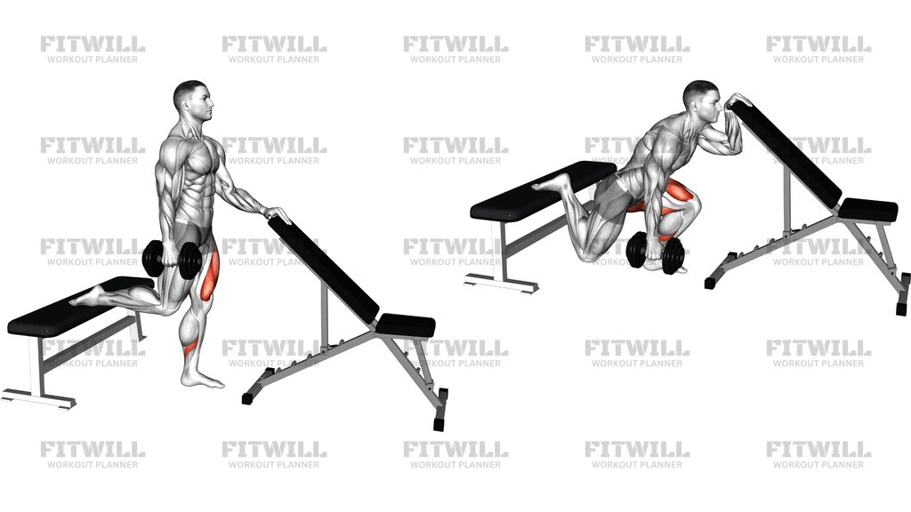 Dumbbell Bulgarian Split Squat With Support