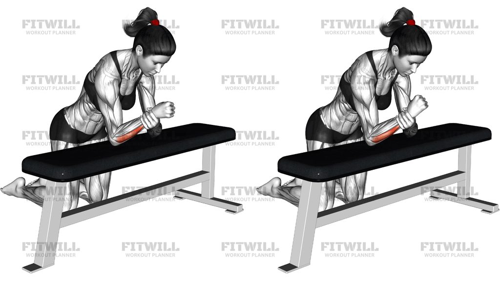 Bodyweight Wrist Ulnar Deviation With Elbow Suppor