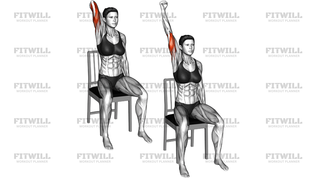 Seated Overhead Triceps Extension