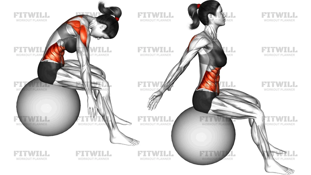 Seated Lumbar Extension Flexion On Stability Ball