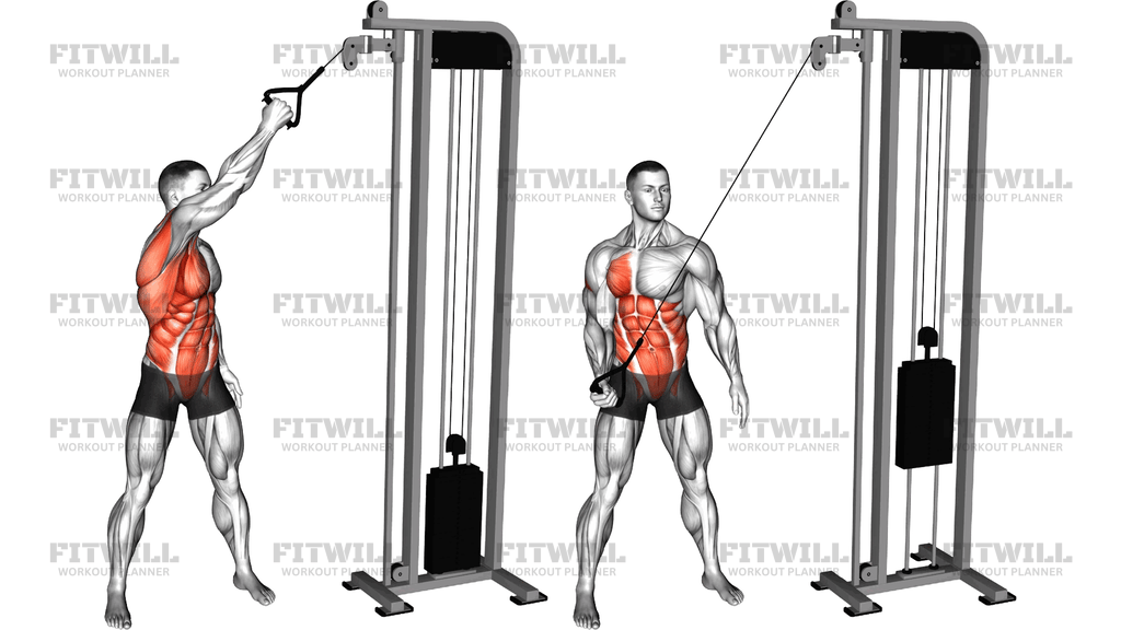 Cable Single Arm High To Low Woodchopper