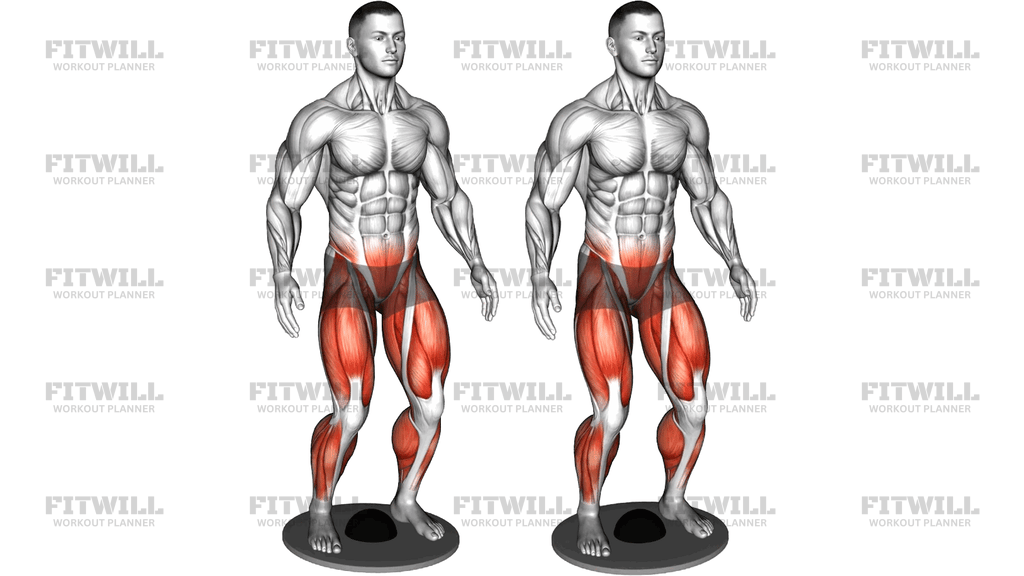 Balance Plate Standing