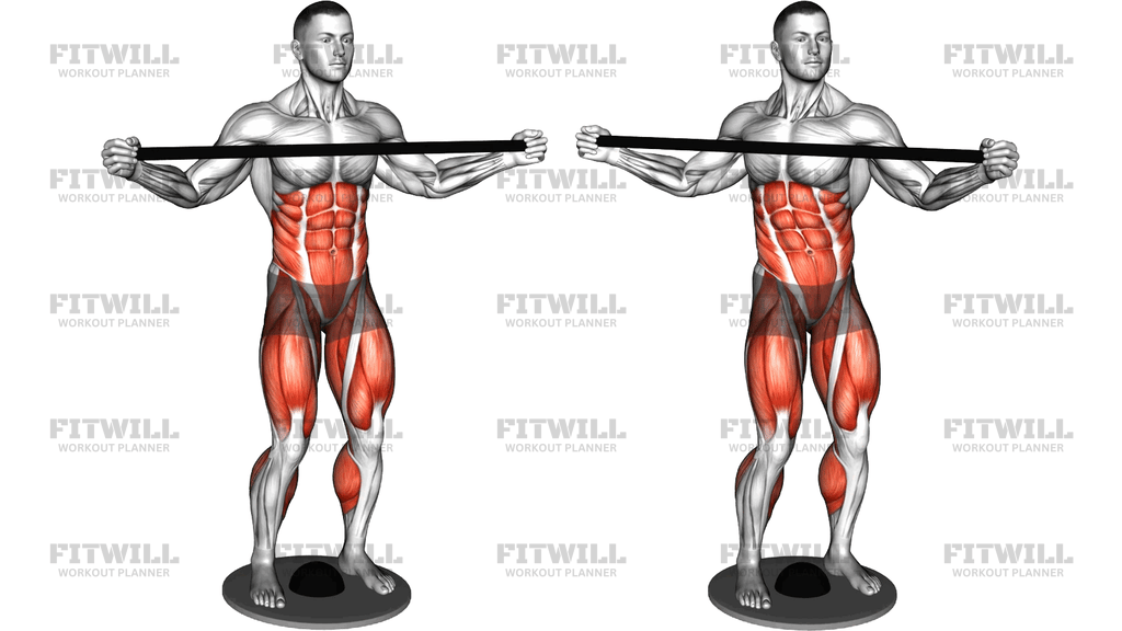 Balance Plate Standing Twist