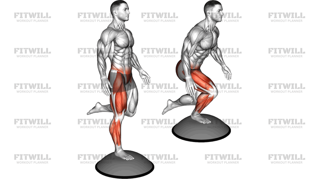 Bosu Ball Balance Counterbalanced Skater Squat