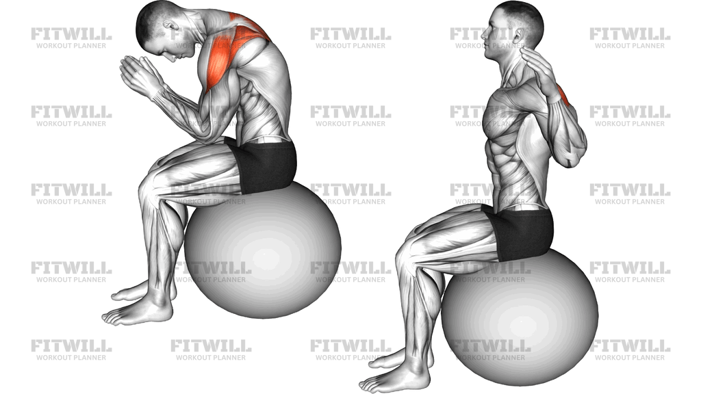 Sitting Scapular Adduction On Stability Ball