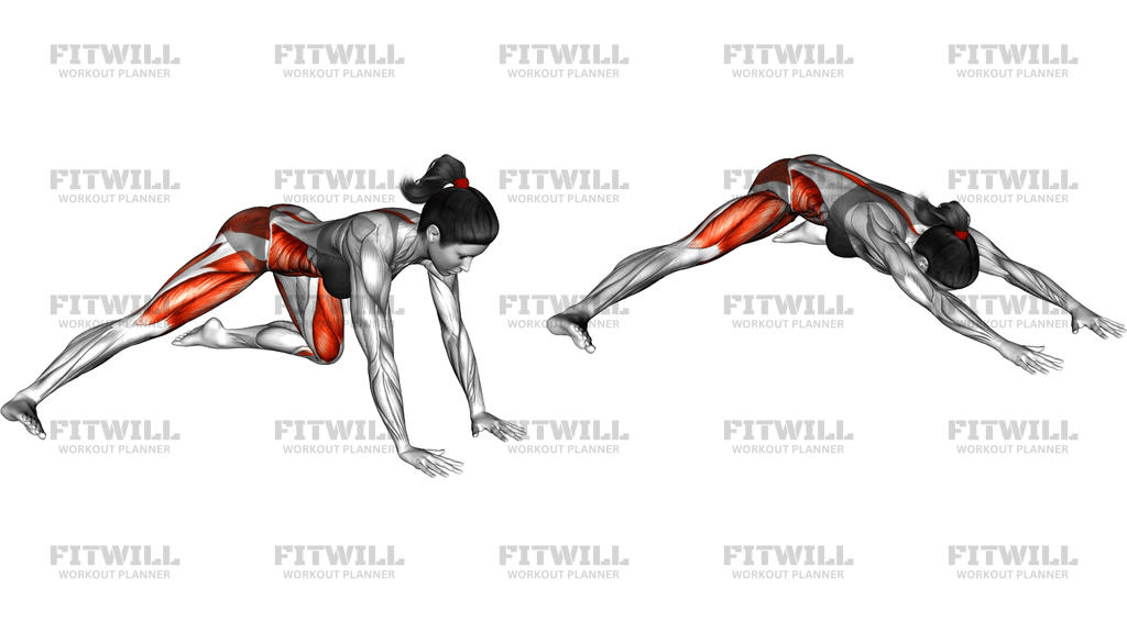 Dynamic Half Child Pose