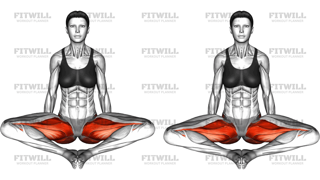 Dynamic Butterfly Pose
