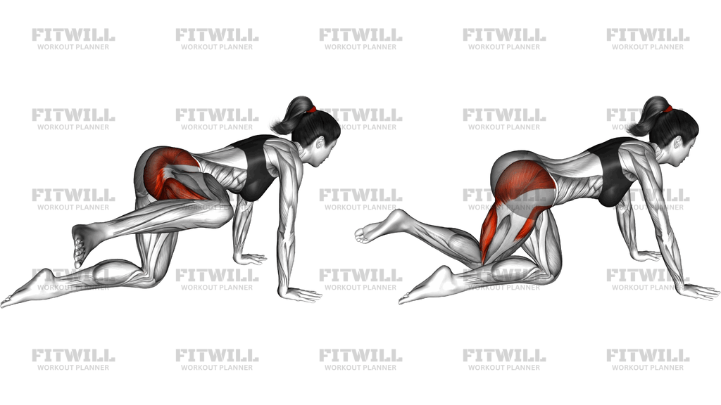 Kneeling Fire Hydrant Cross Knee Tap