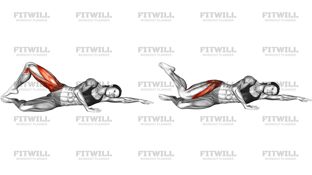 Side Lying Hip Internal External Rotation