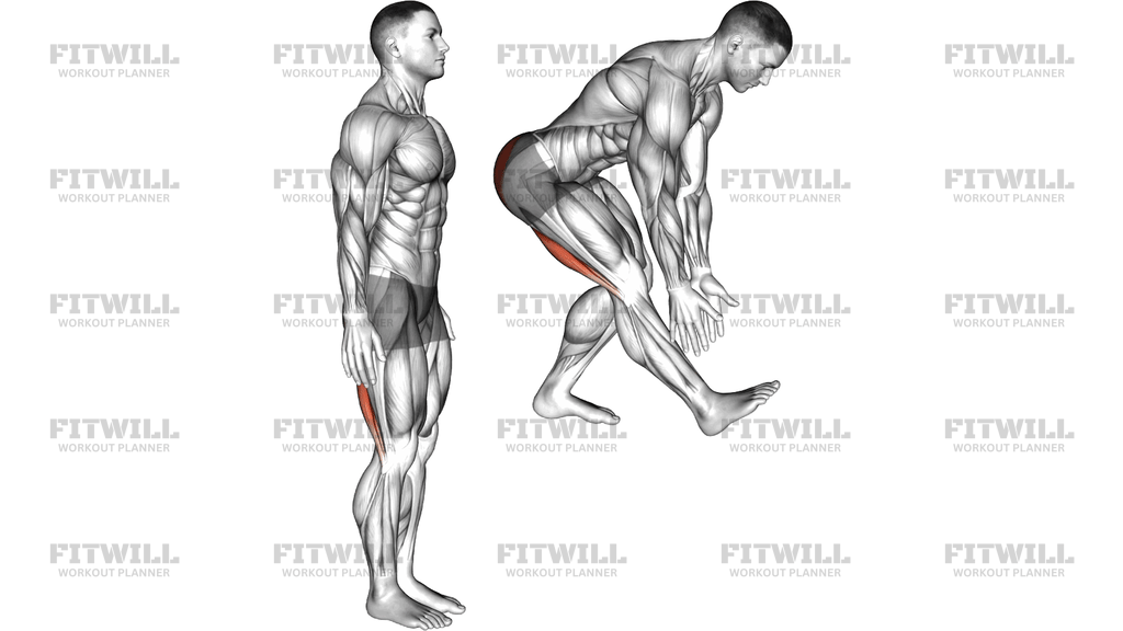 Single Leg Forward Bend