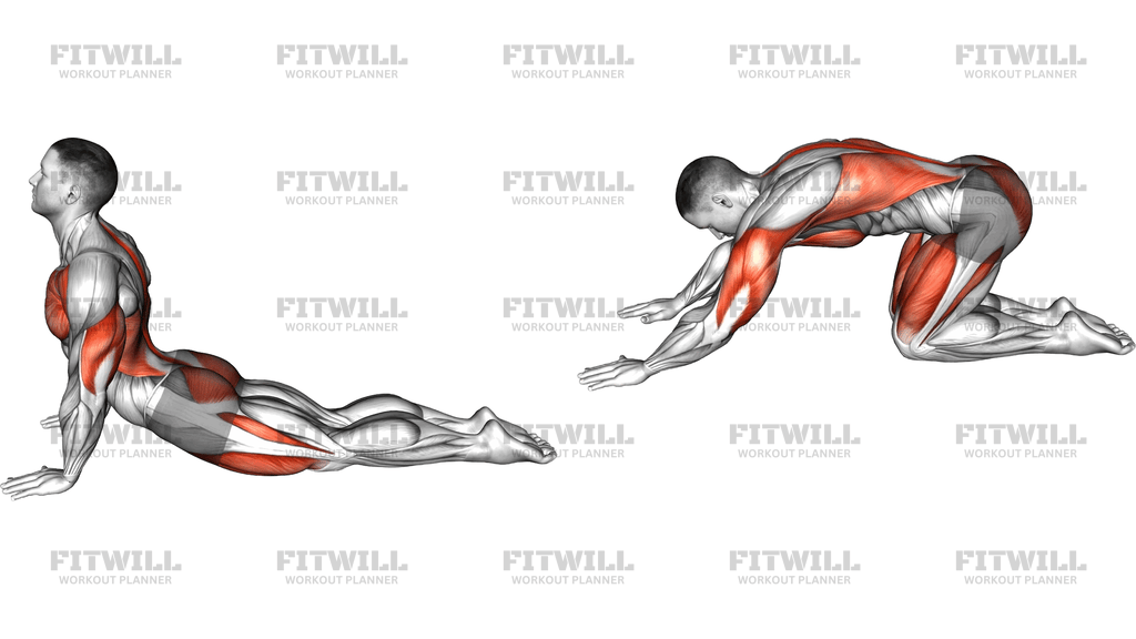 Cobra To Child Pose
