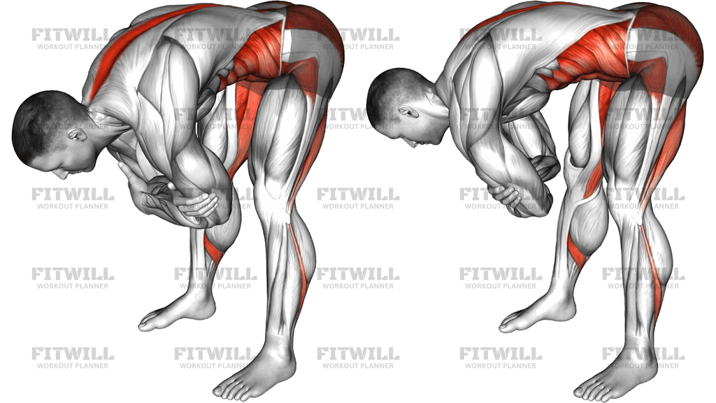 Forward Fold And Rock