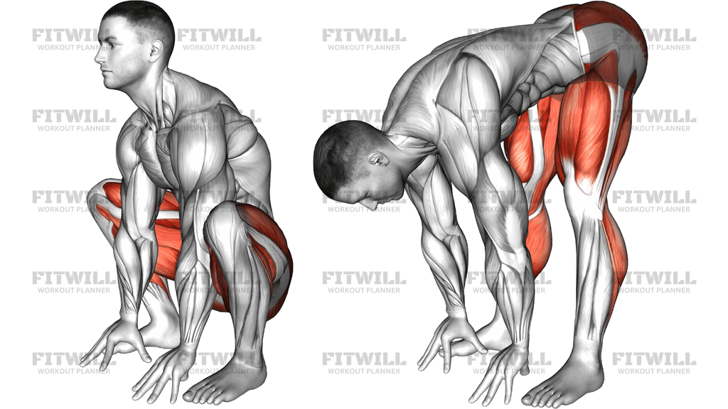 Stand To Squat