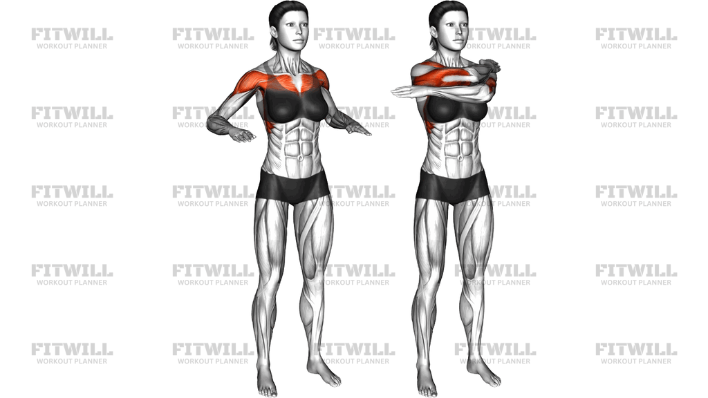 Standing Stacked Arms Lift