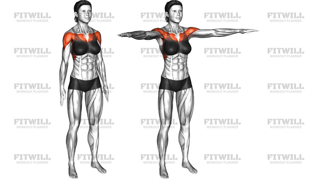 Standing Up Raise Side Open Arms