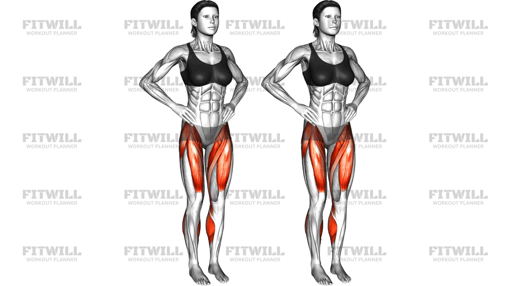 Standing Alternate Knee Raise