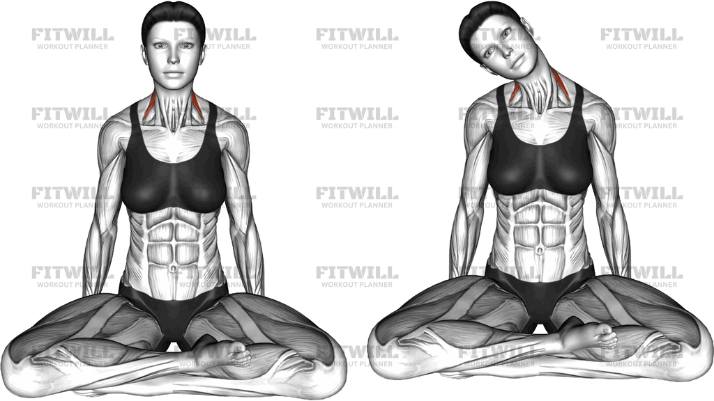 Sitting Side Neck Stretch (Version 2)