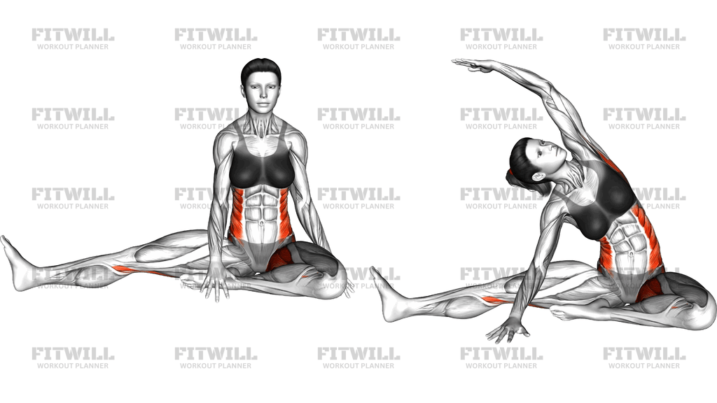 Seated Hamstring Side Stretch