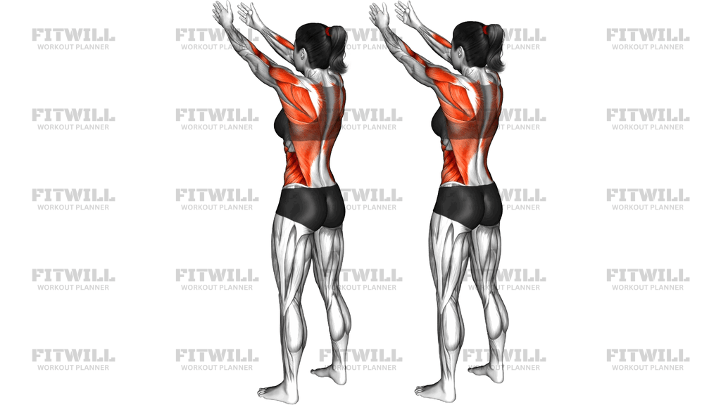 Standing Archer Alternate 45 Degrees Arm Row