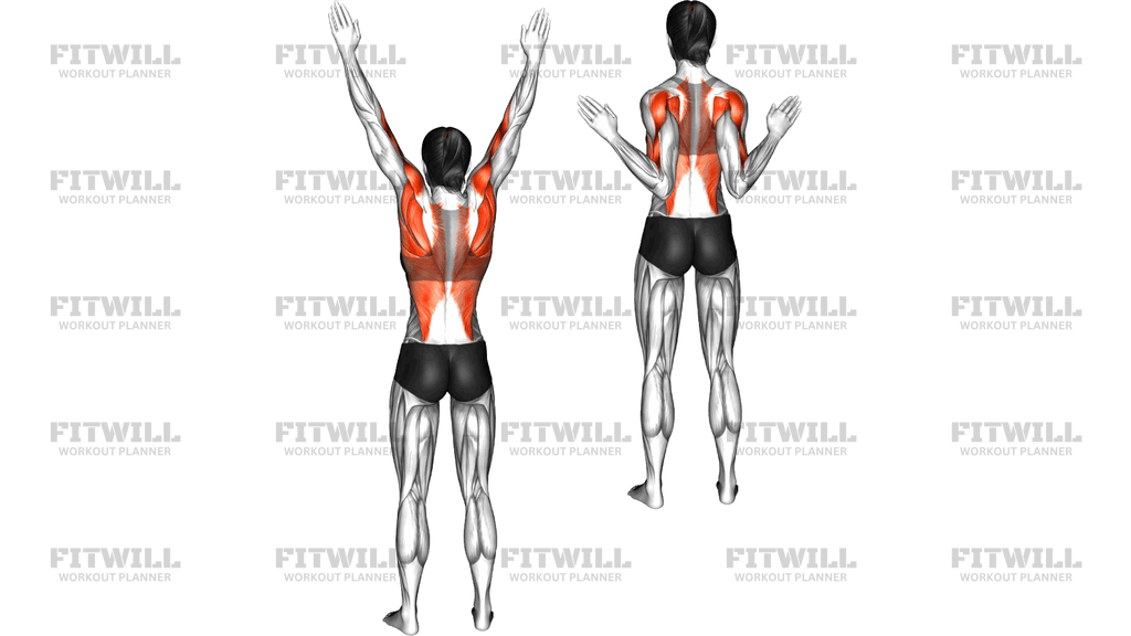 Standing Lat Pulldown