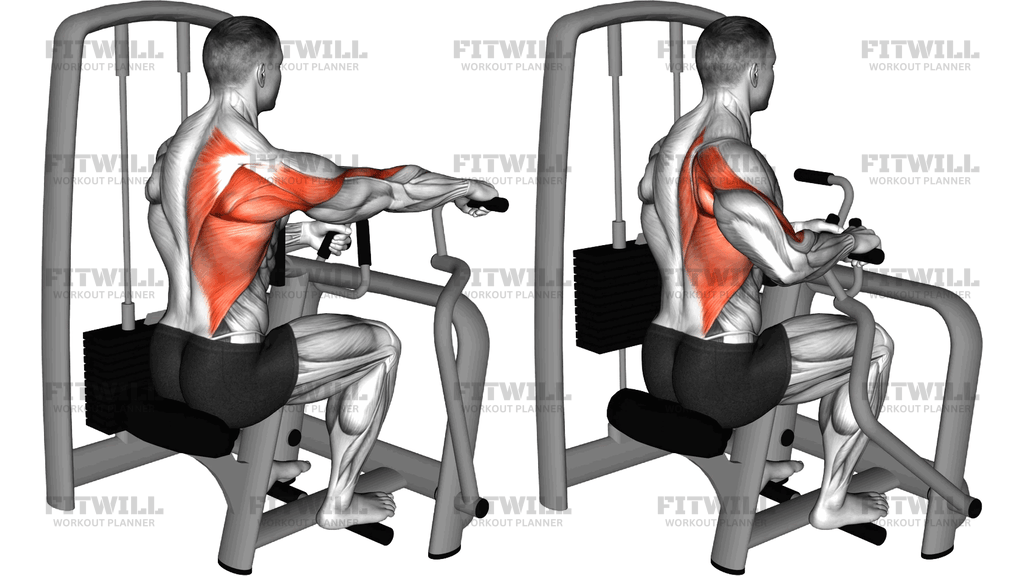 Lever Seated Single Arm Row