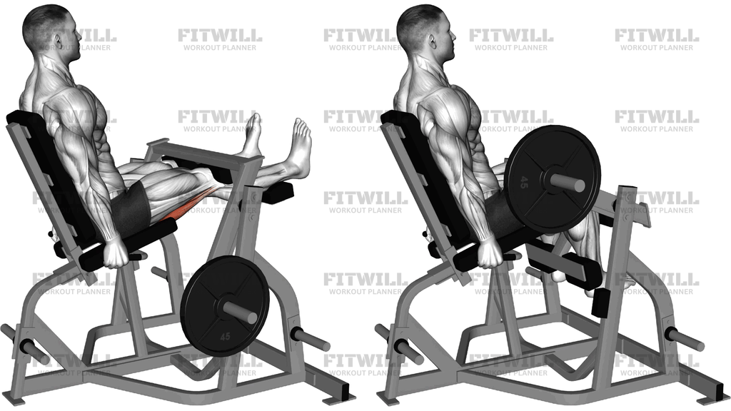 Lever Seated Leg Curl (Plate Loaded)