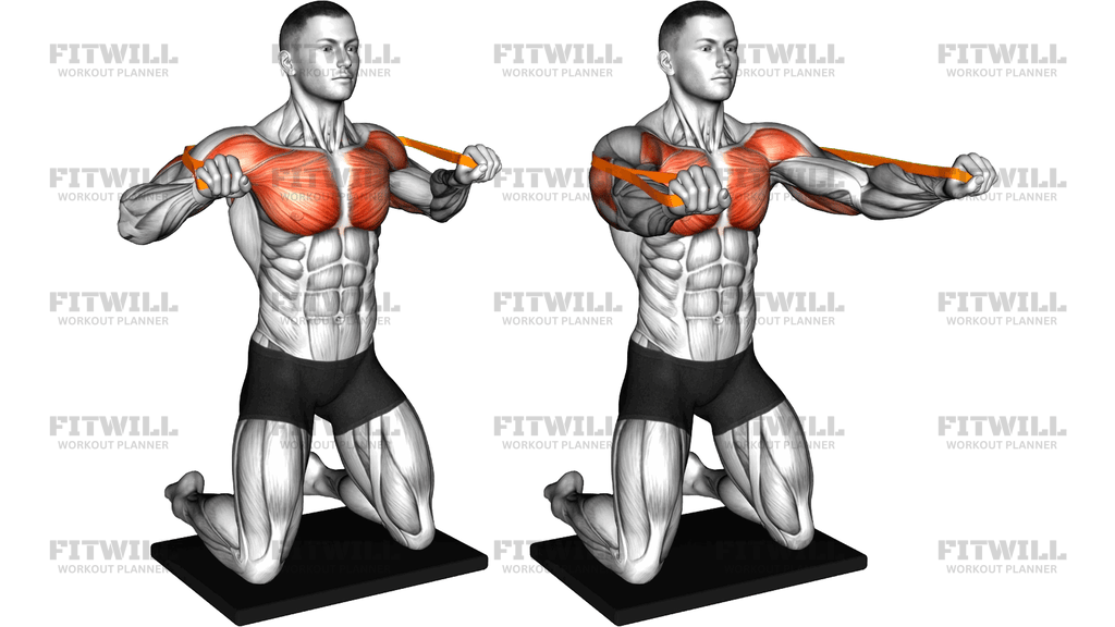 Resistance Band Kneeling Chest Press