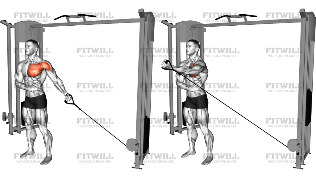 Cable Single Arm Low Fly