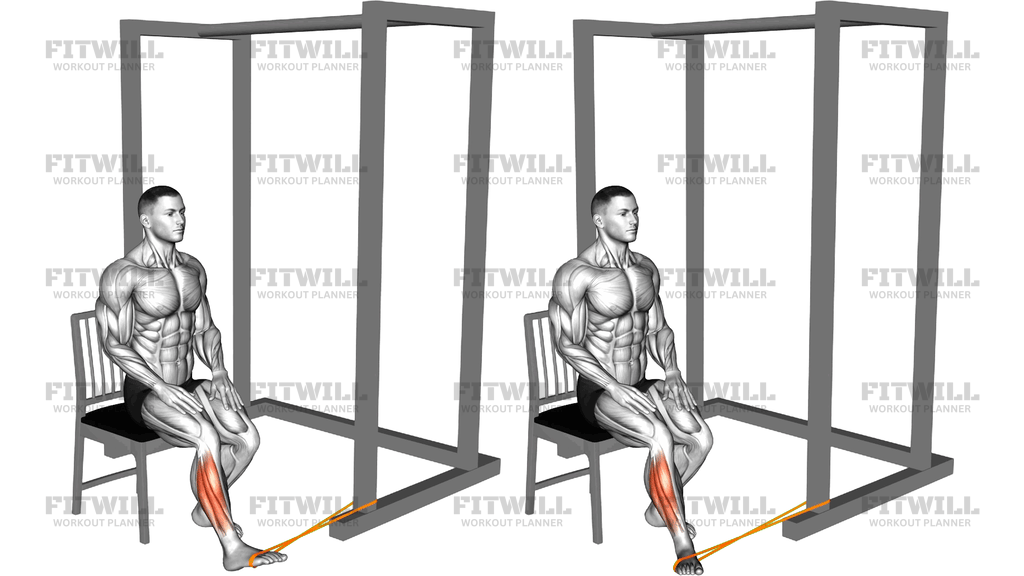 Resistance Band Seated Eversion Foot