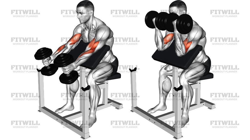 Dumbbell Preacher Swing Curl
