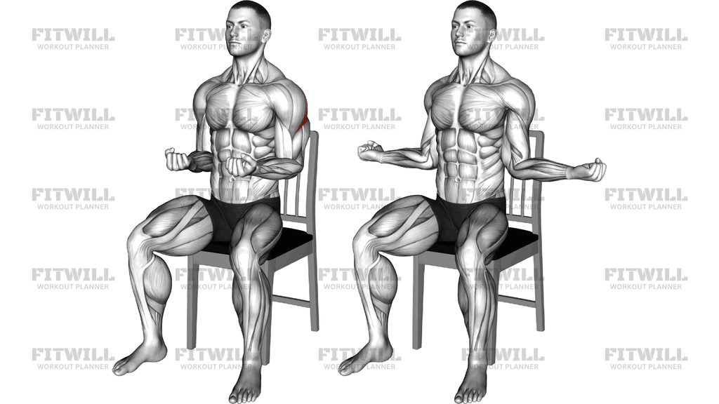 Seated External Rotation On A Chair