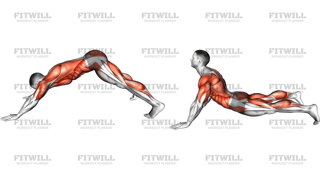 Dive Bomber Push Up