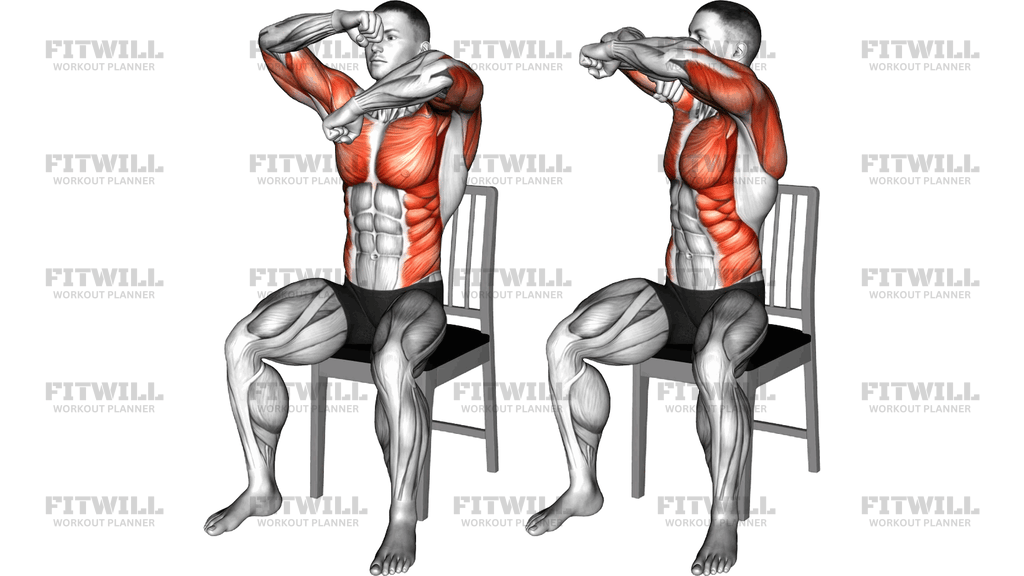 Seated Rotating Boxing Rolls On A Chair