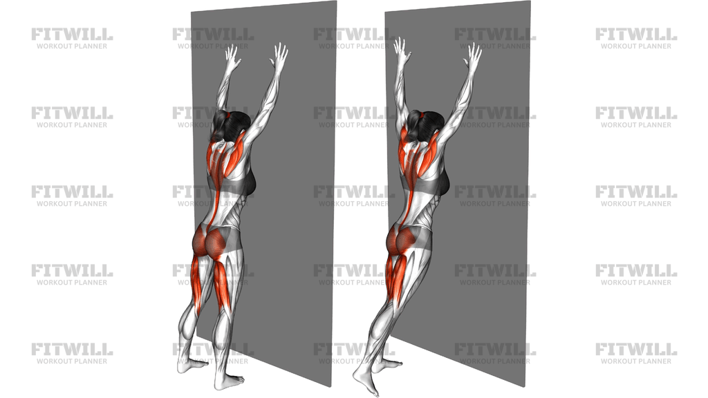 Opposite Arm And Leg Raise Against Wall