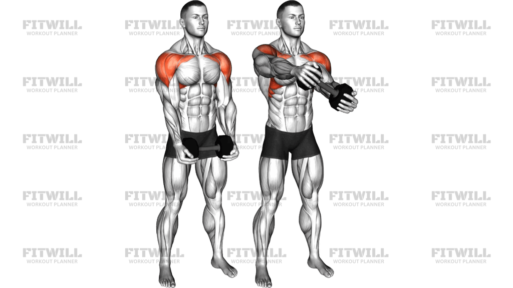 Dumbbell Drive Front Raise