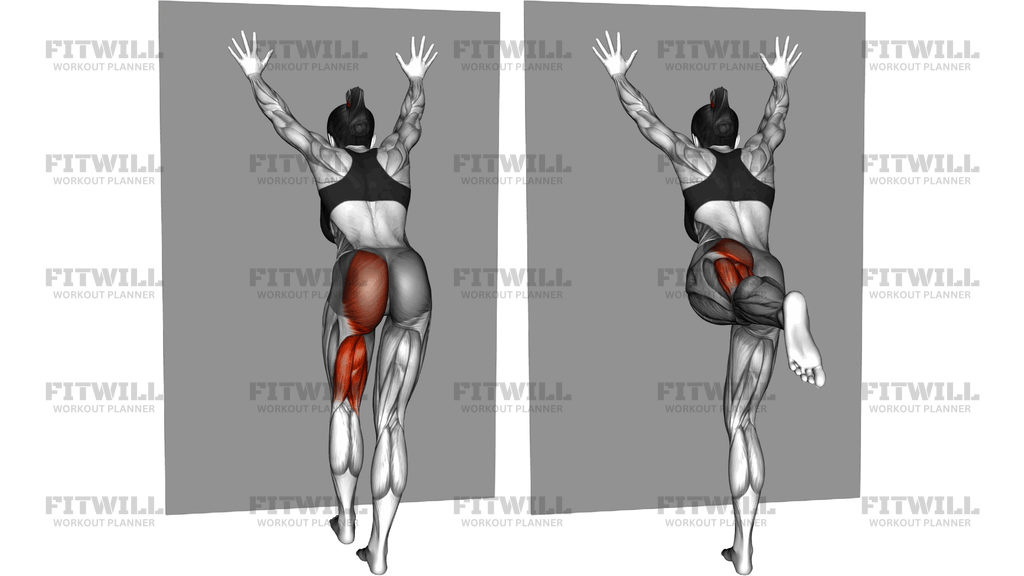 Standing Glute Back Lift Against Wall