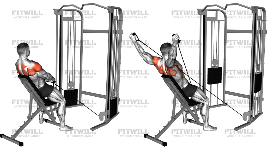 Cable Incline Y Raise With Back Support