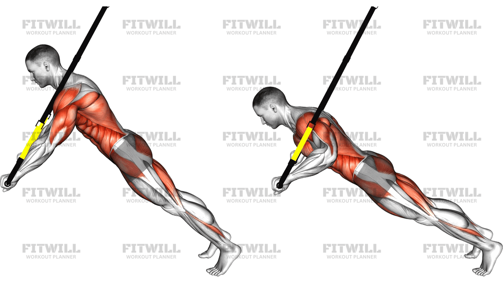 Suspender Chest Press To Rollout