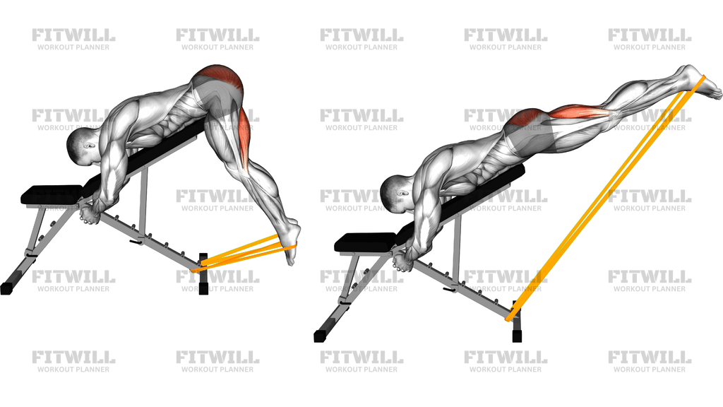 Resistance Band Incline Reverse Hyperextension