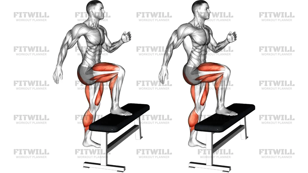 Step Up With Knee Drive