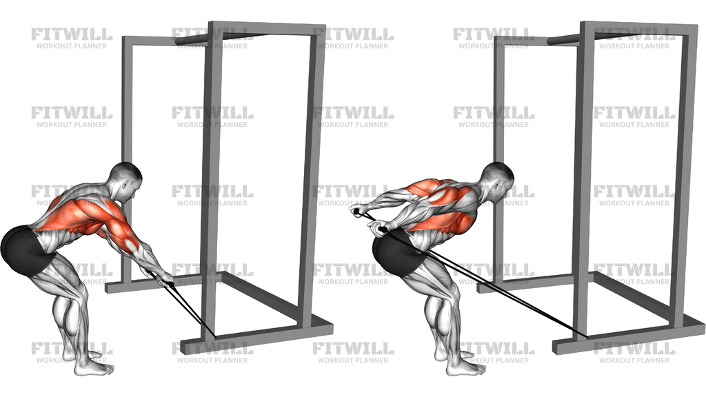Band Bent Over Rear Deltoid Kickback