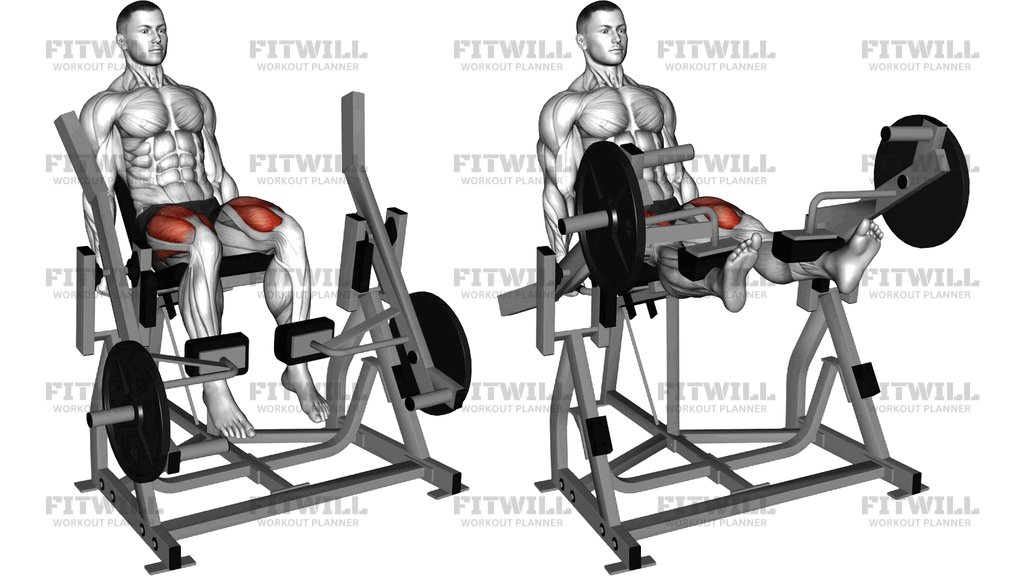 Lever Leg Extension (Plate Loaded)