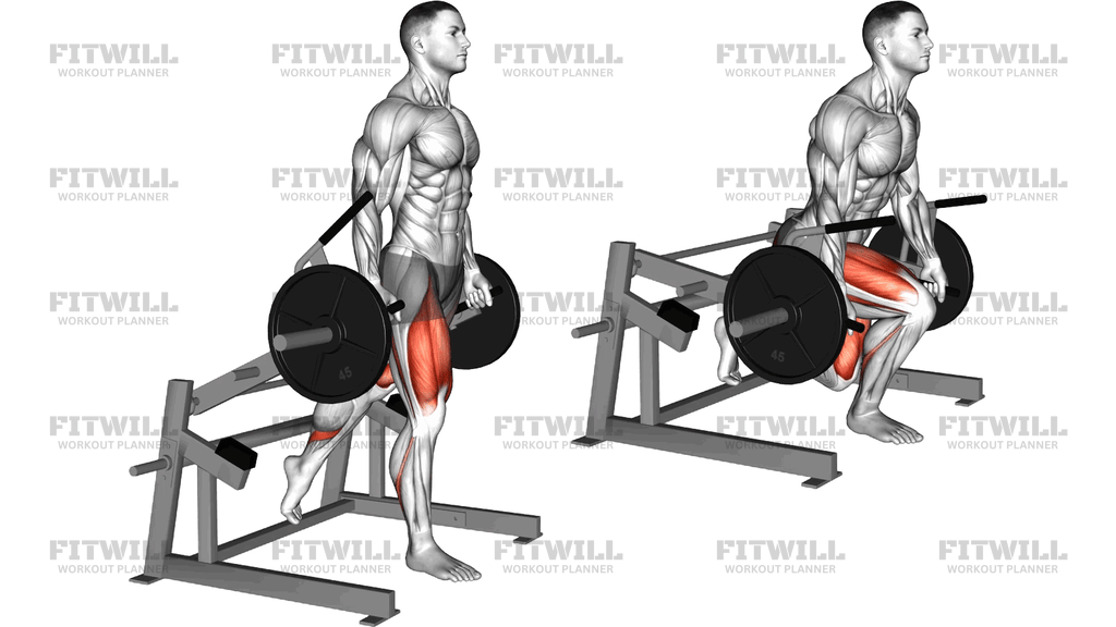 Lever Rear Foot Elevanted Split Squat (Plate Loade)