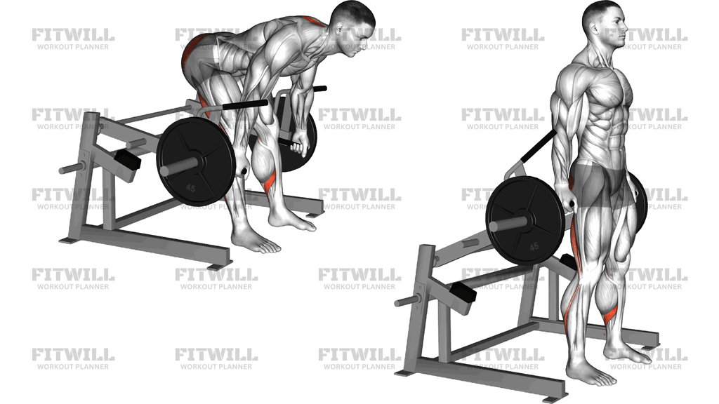 Lever Romanian Deadlift (Plate Loaded)