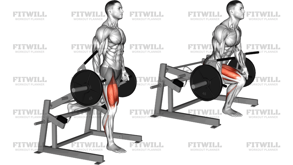 Lever Bulgarian Split Squat (Plate Loaded)