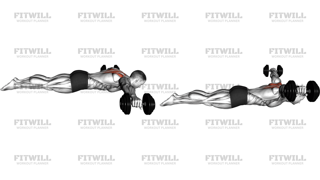 Lyine Prone T Raise