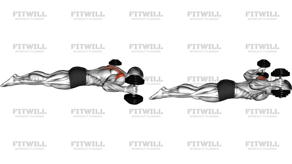 Lyine Prone W Raise