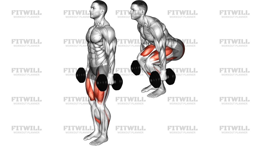 Dumbbell Narrow Squat